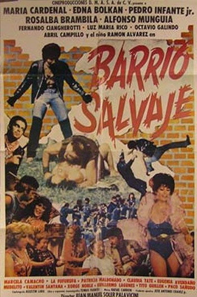Póster de Barrio salvaje
