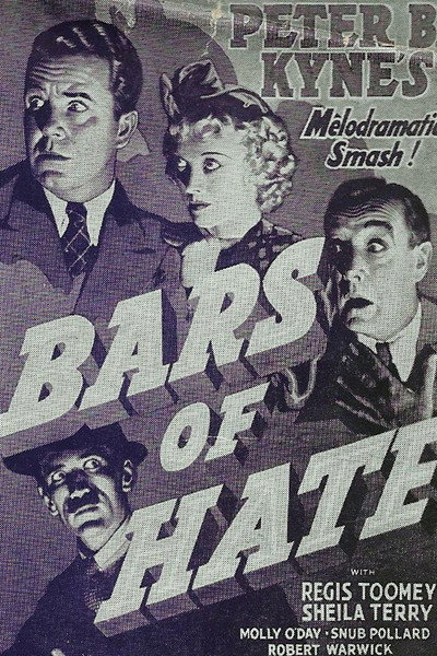 Póster de Bars of Hate