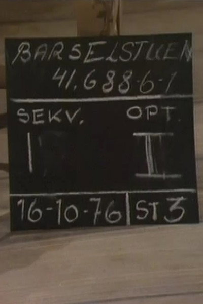Póster de Barselstuen