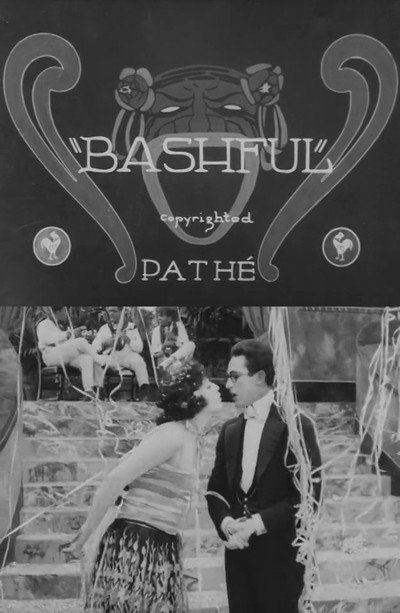 Póster de Bashful