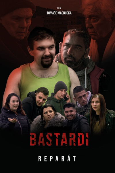 Póster de Bastardi: Reparát