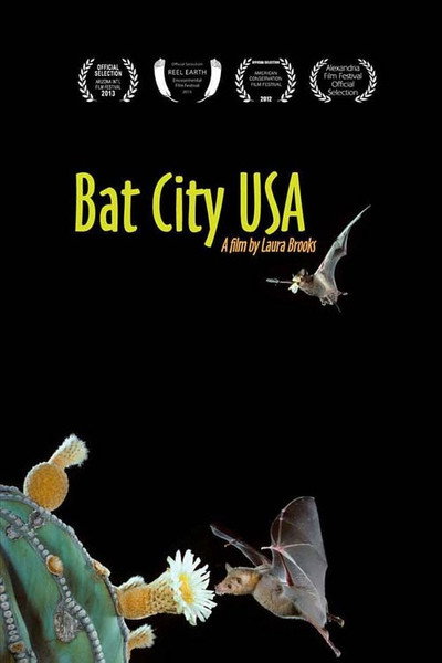 Póster de Bat City USA