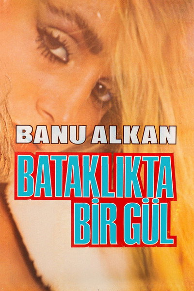 Póster de Bataklikta Bir Gül