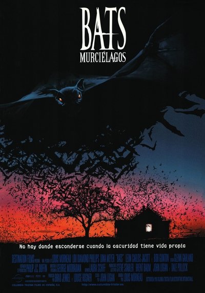 Póster de Bats. Murciélagos