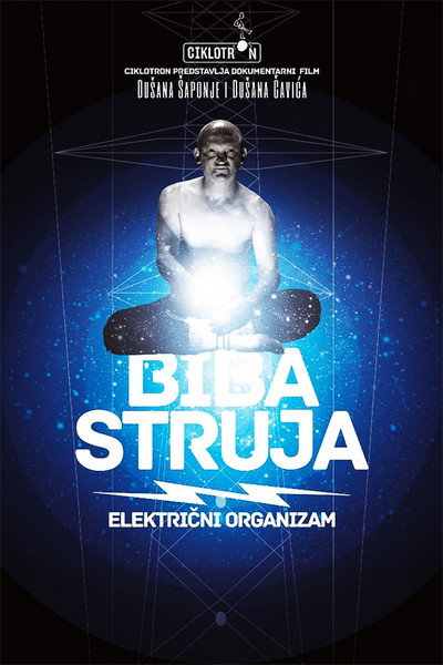 Póster de Battery Man