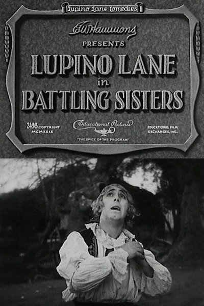 Póster de Battling Sisters