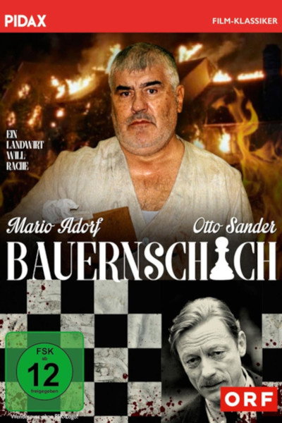Póster de Bauernschach