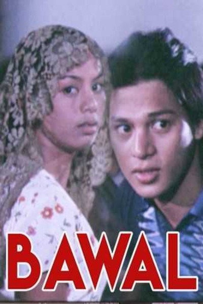 Póster de Bawal