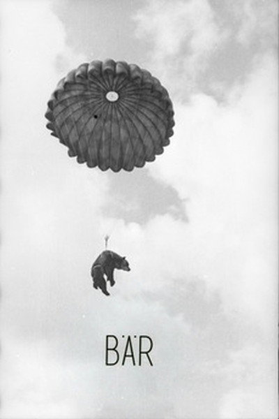 Póster de Bear
