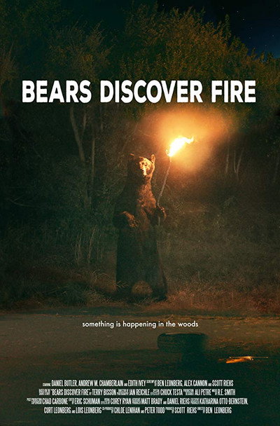 Póster de Bears Discover Fire