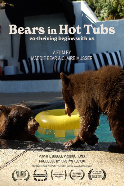 Póster de Bears in Hot Tubs