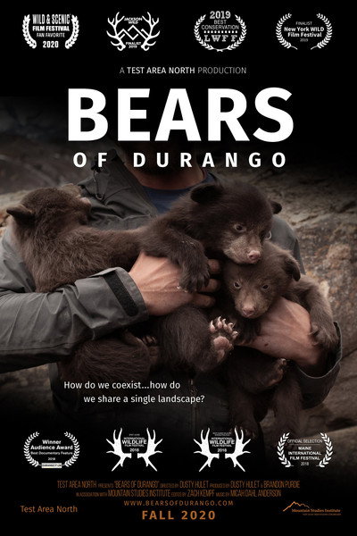 Póster de Bears of Durango