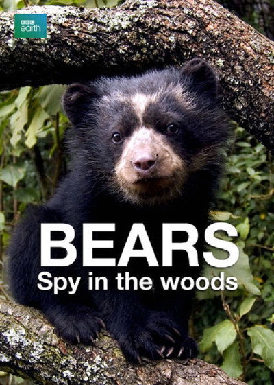 Póster de Bears: Spy in the Woods