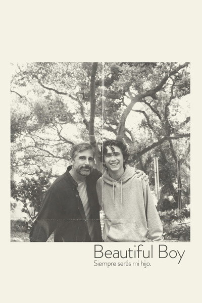 Póster de Beautiful Boy: siempre serás mi hijo