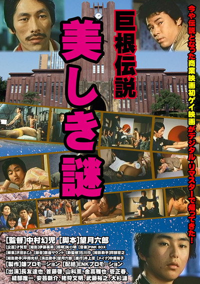 Póster de Beautiful Mystery
