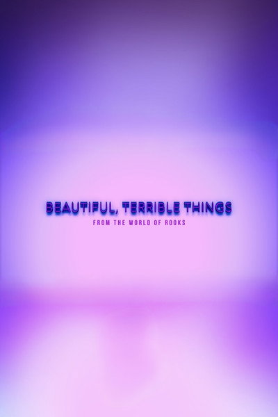 Póster de Beautiful, Terrible Things