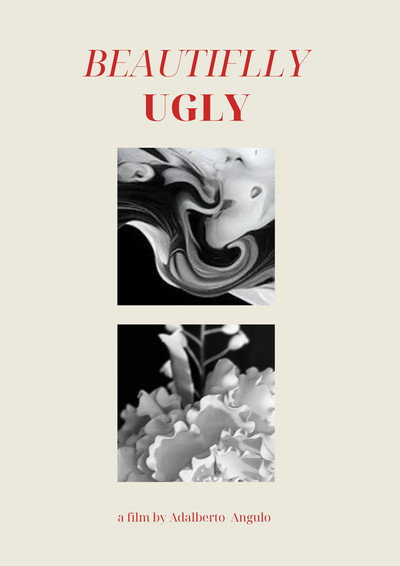 Póster de Beautifully Ugly