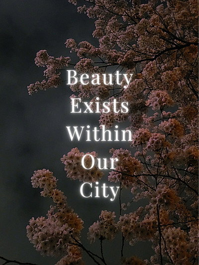 Póster de Beauty Exists Within Our City