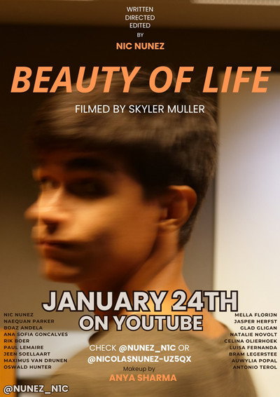 Póster de Beauty of Life