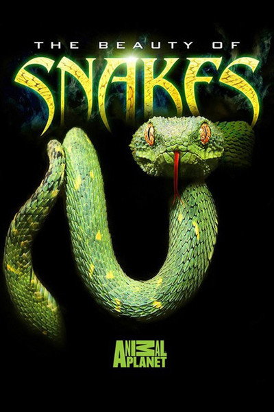 Póster de Beauty of Snakes