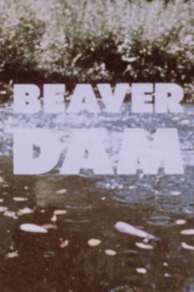 Póster de Beaver Dam