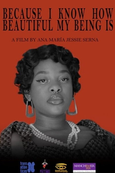 Póster de Because I Know How Beautiful My Being Is
