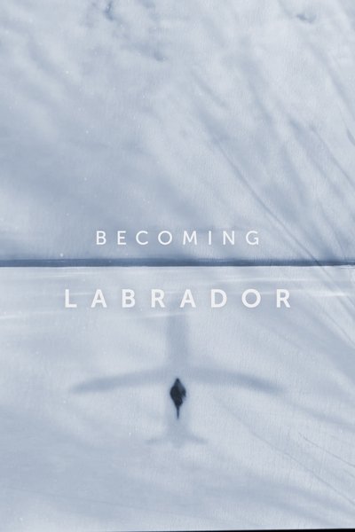 Póster de Becoming Labrador