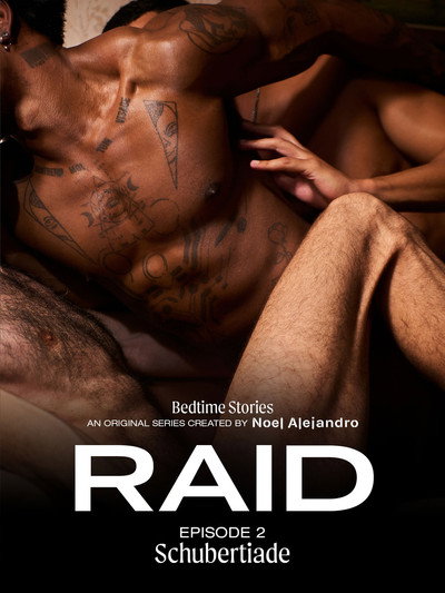 Póster de Bedtime Stories: RAID 2 - Schubertiade