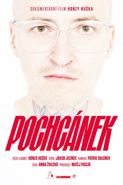 Póster de Bedwetter