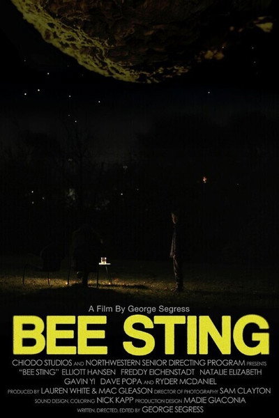 Póster de Bee Sting