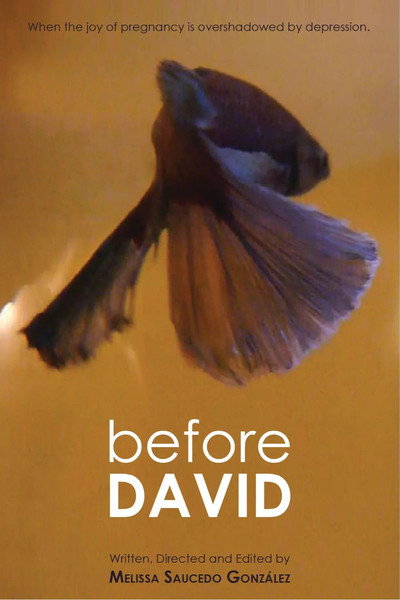 Póster de Before David