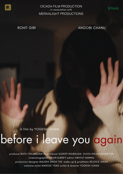 Póster de Before I Leave You Again