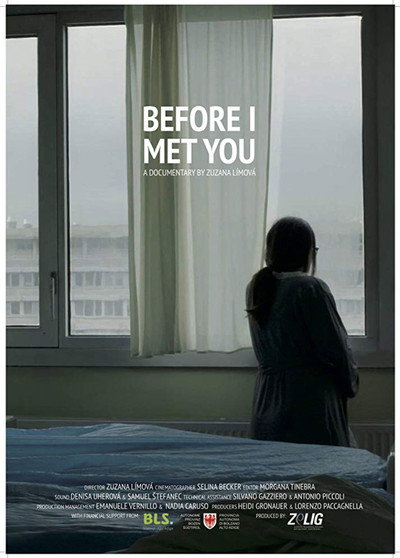 Póster de Before I Met You