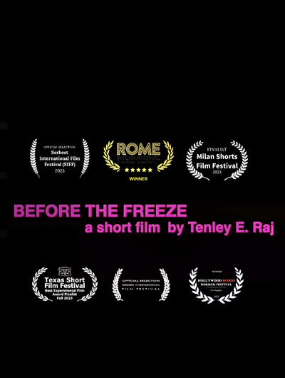 Póster de Before the Freeze