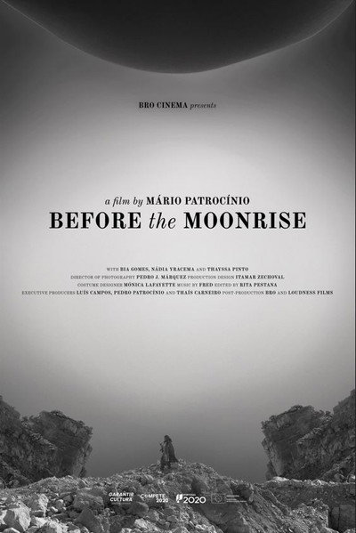 Póster de Before the Moonrise