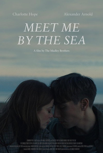 Póster de Before the Night's End