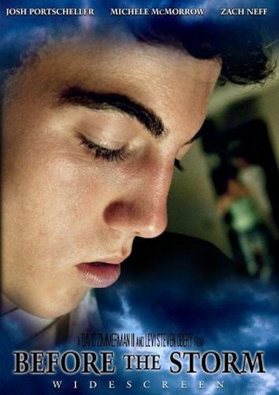 Póster de Before the Storm