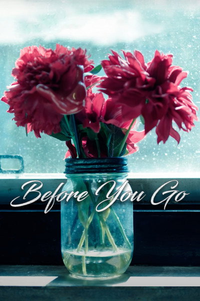 Póster de Before You Go