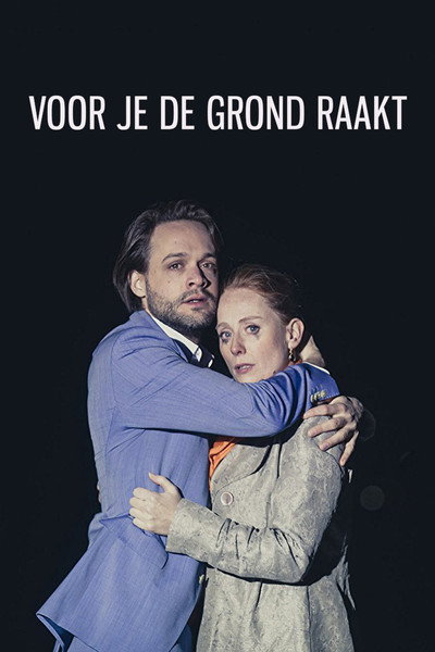 Póster de Before you hit the ground