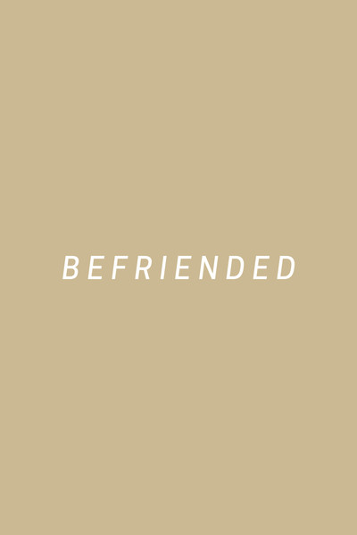 Póster de Befriended