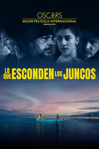 Póster de Behind the Haystacks