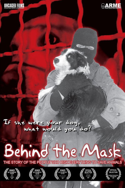 Póster de Behind the Mask