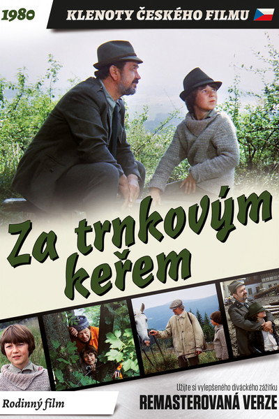Póster de Behind the Sloe-Bush