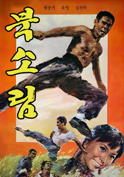 Póster de Bei Shao lin
