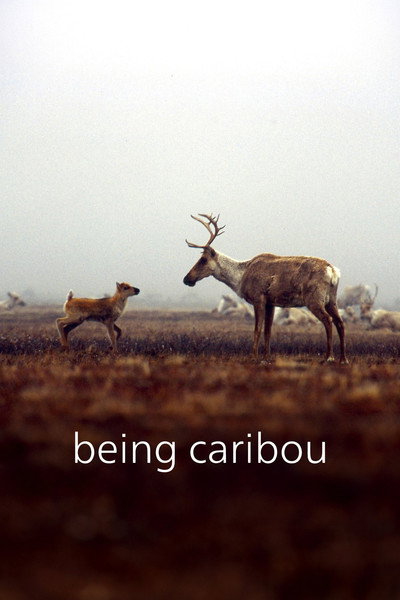 Póster de Being Caribou