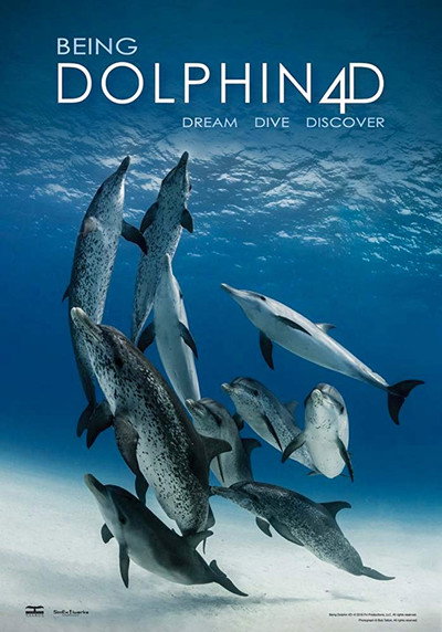 Póster de Being Dolphin 4D