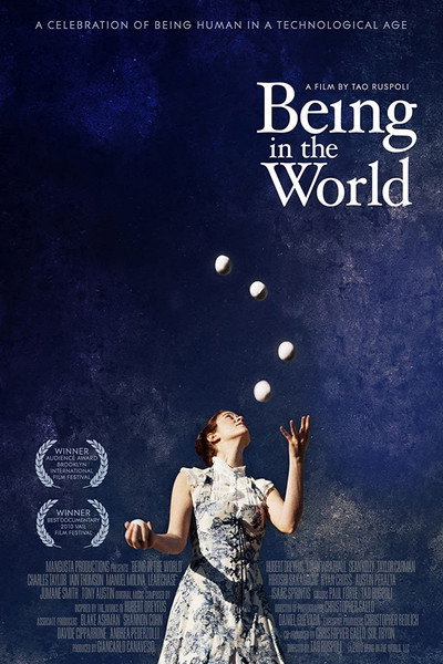 Póster de Being in the World