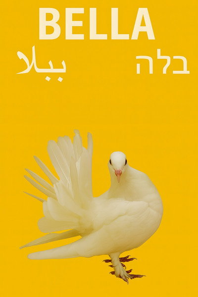 Póster de Bella