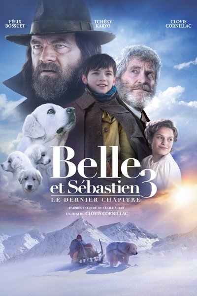 Póster de Belle and Sebastian, Friends for Life