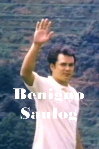 Póster de Benigno Saulog